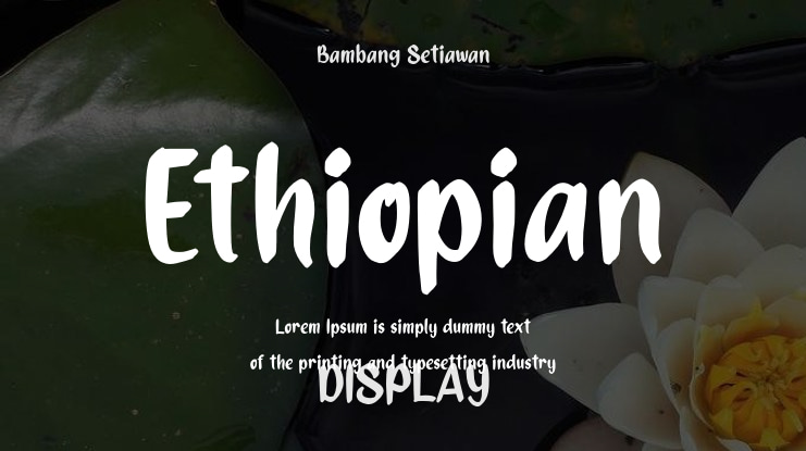 Ethiopian Font
