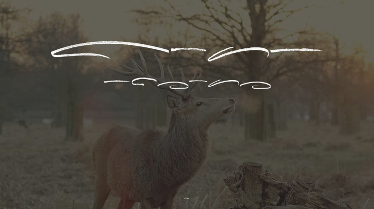 Yohey Swashes Font Family