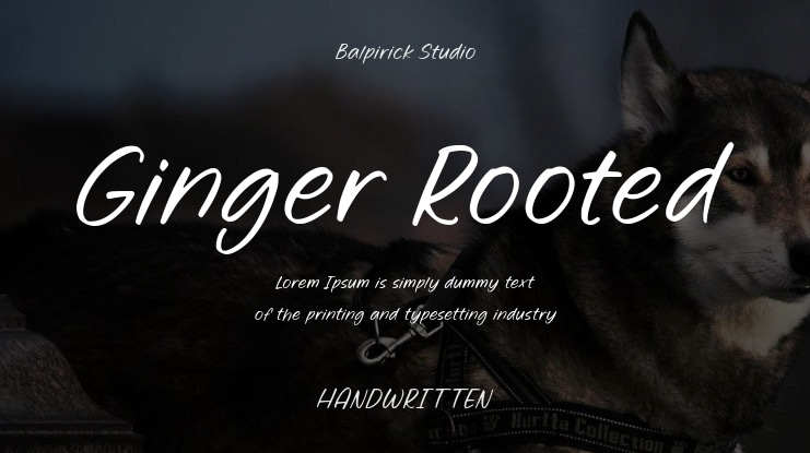 Ginger Rooted Font