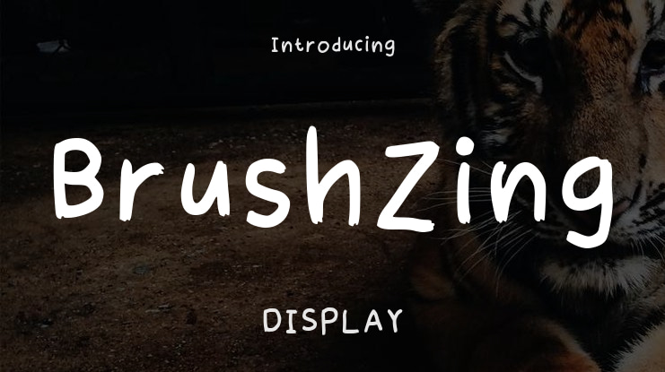 Brushzing Font