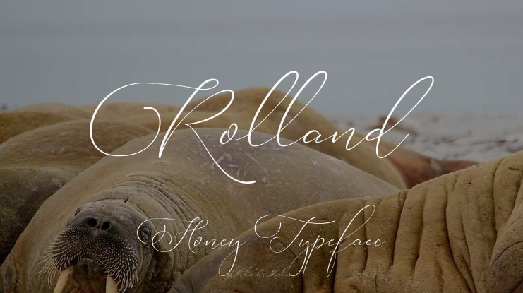 Rolland Honey Font