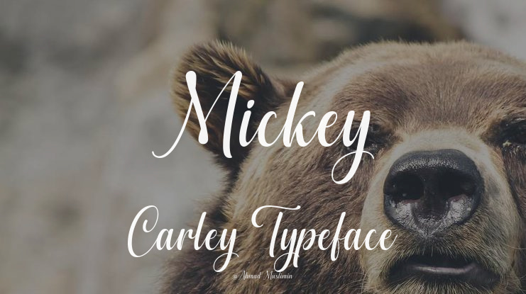 Mickey Carley Font
