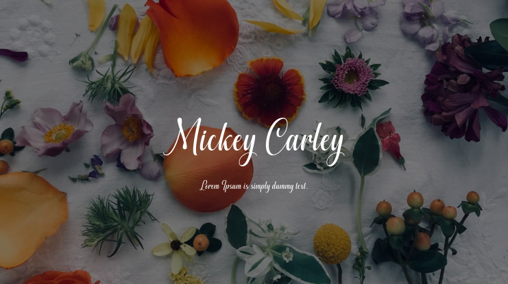 Mickey Carley Font