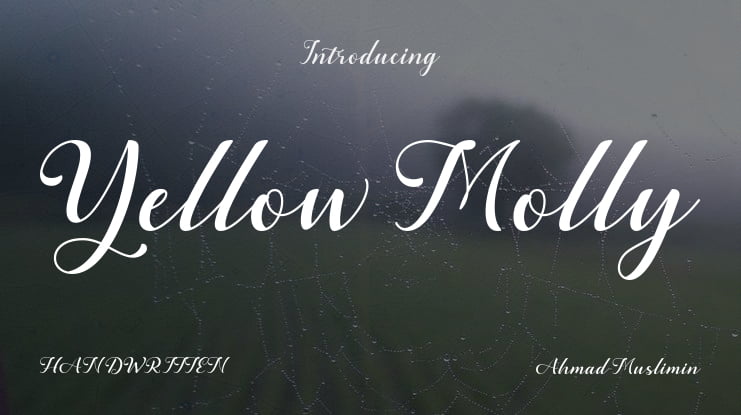 Yellow Molly Font
