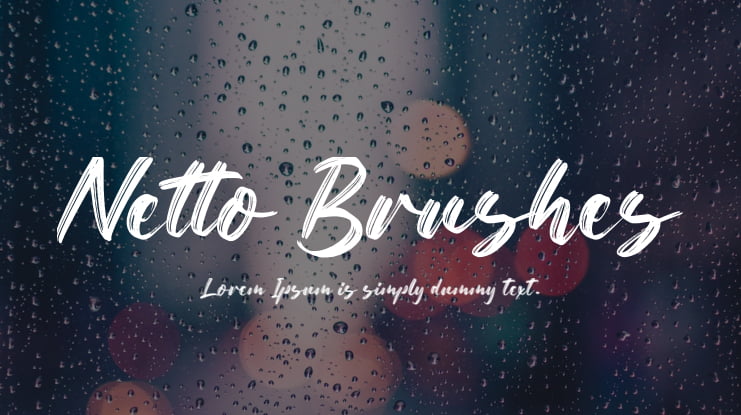 Netto Brushes Font