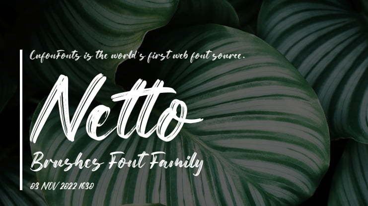 Netto Brushes Font