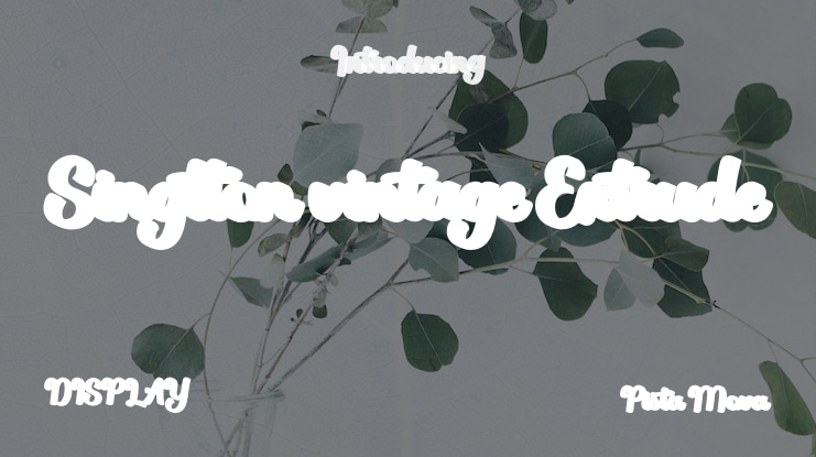 Singtton vintage Extrude Font Family