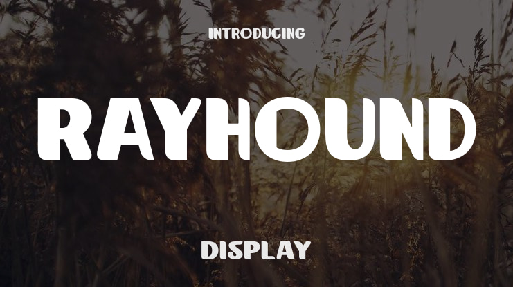 Rayhound Font