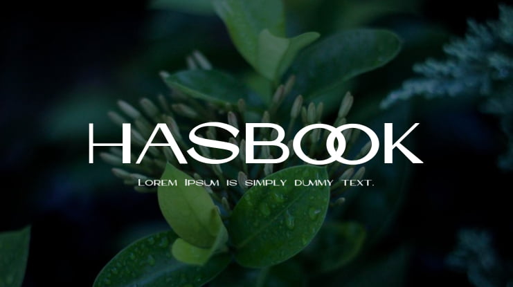 HASBOOK Font