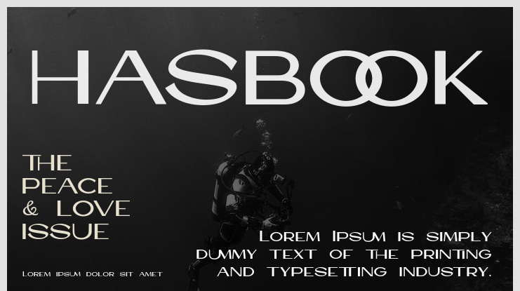 HASBOOK Font
