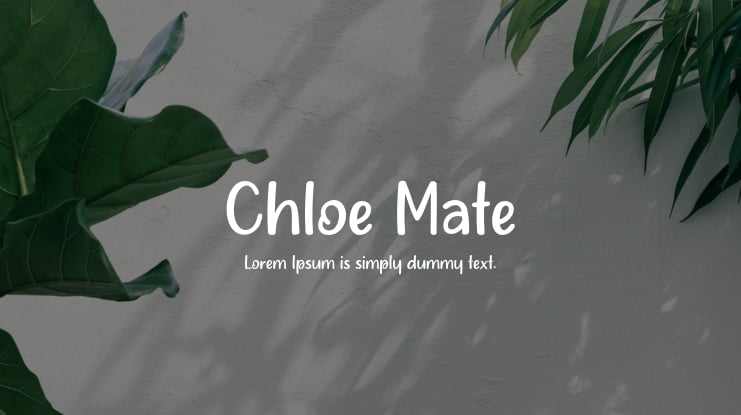 Chloe Mate Font