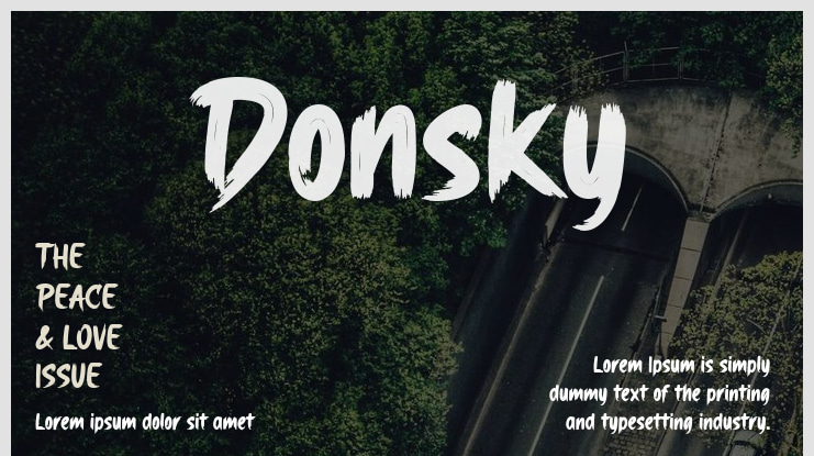 Donsky Font