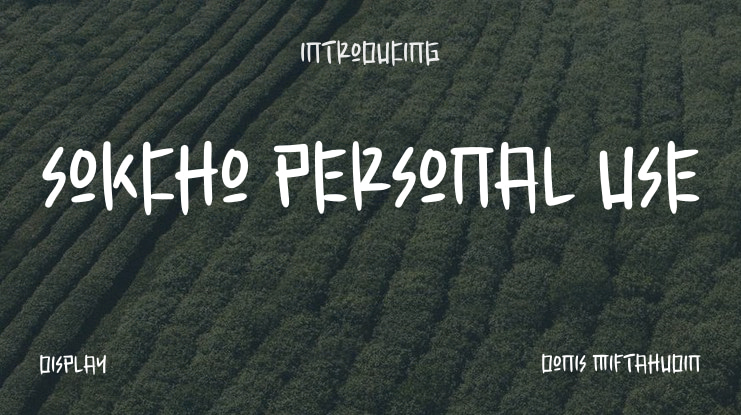 Sokcho Personal Use Font