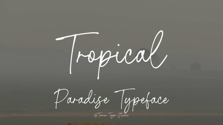 Tropical Paradise Font
