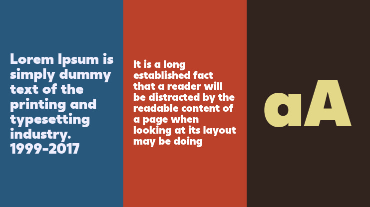 Neue Reman Gt Font Family