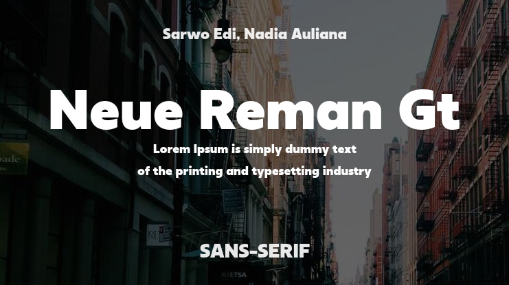 Neue Reman Gt Font Family