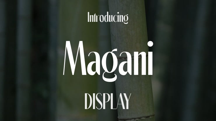 Magani Font