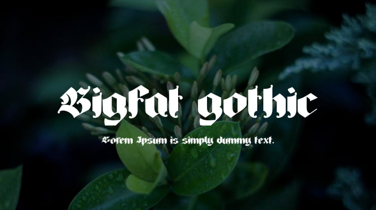 Bigfat gothic Font