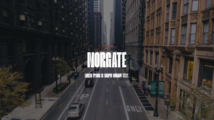 Norgate Font Family
