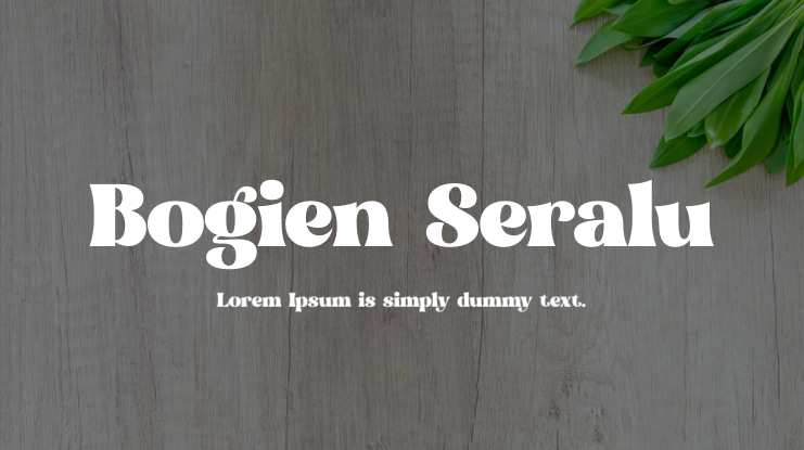 Bogien Seralu Font