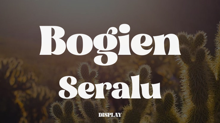 Bogien Seralu Font