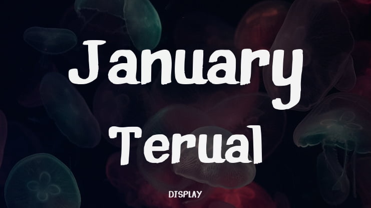 January Terual Font