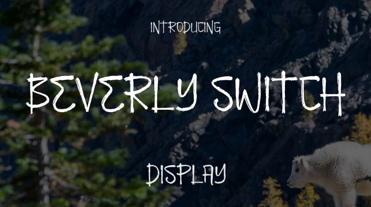 Beverly Switch Font