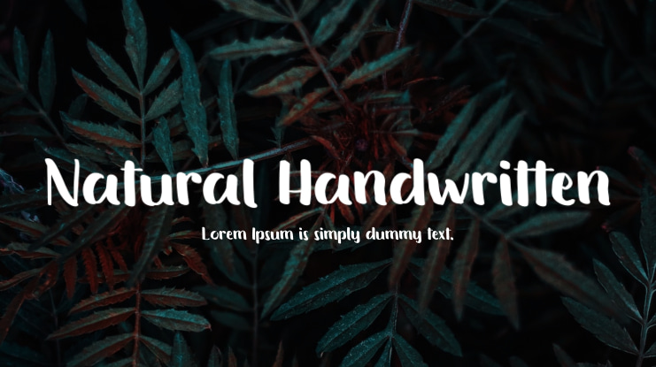 Natural Handwritten Font