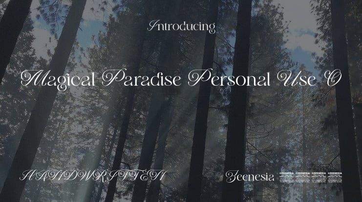 Magical Paradise Personal Use O Font