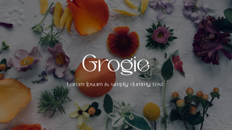 Grogie Font
