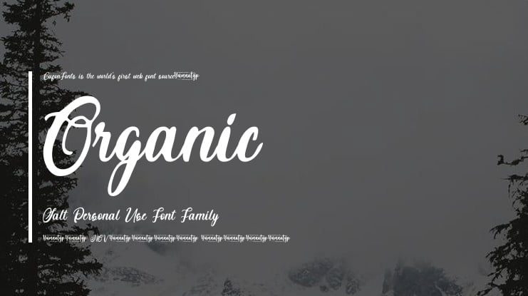 Organic Salt Personal Use Font