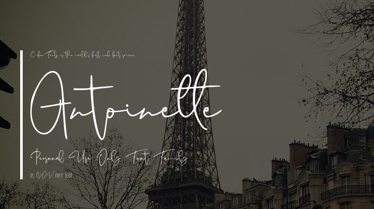 Antoinette Personal Use Only Font