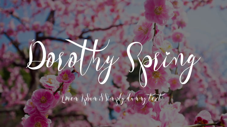 Dorothy Spring Font