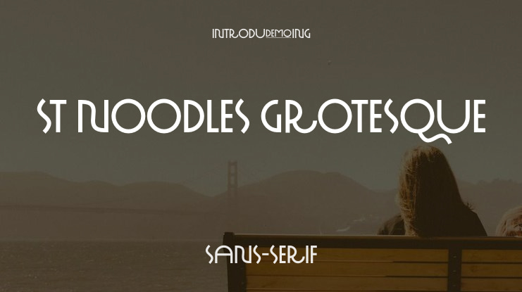 ST Noodles Grotesque Font