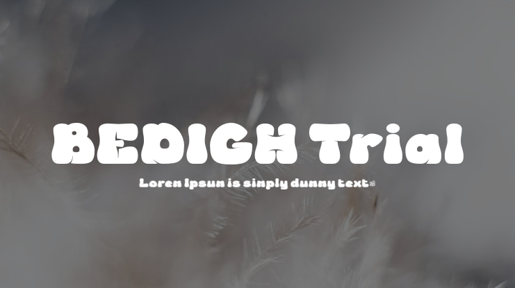 BEDIGH Trial Font