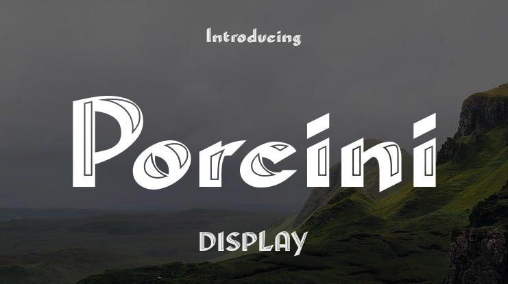 Porcini Font Family