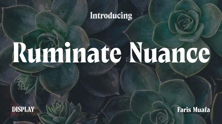 Ruminate Nuance Font