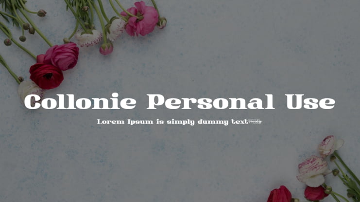 Collonie Personal Use Font