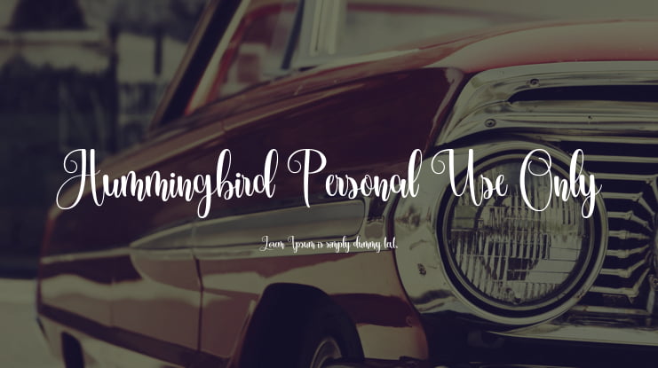 Hummingbird Personal Use Only Font
