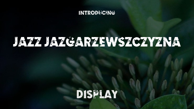 Jazz Jazgarzewszczyzna Font
