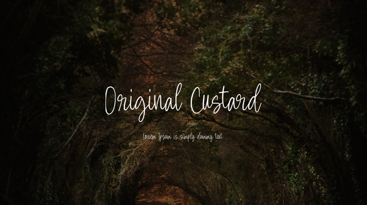 Original Custard Font
