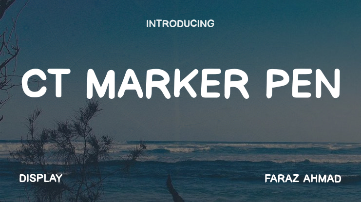 CT Marker Pen Font