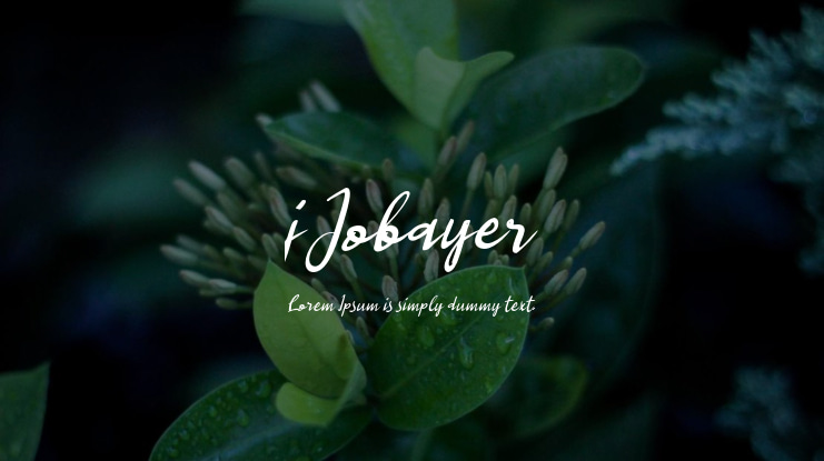 j Jobayer Font