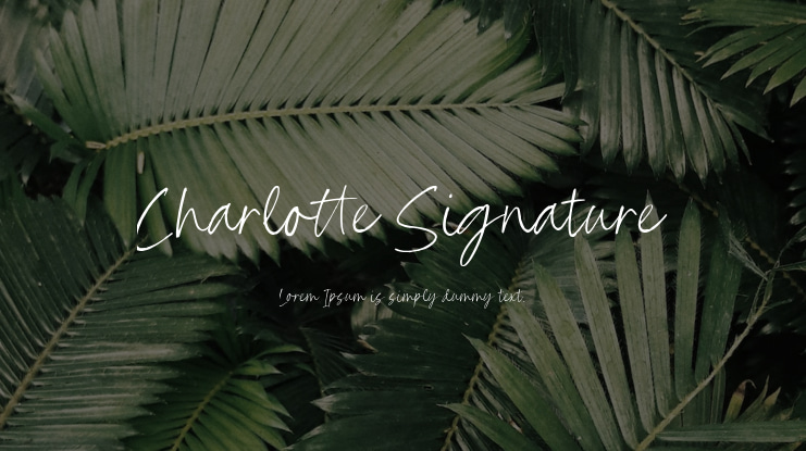 Charlotte Signature Font