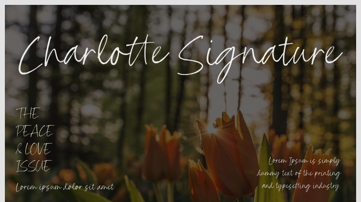 Charlotte Signature Font
