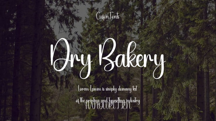 Dry Bakery Font