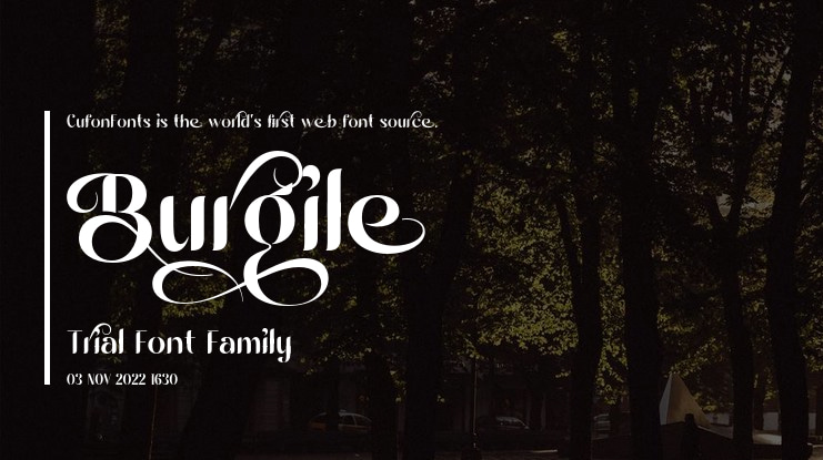 Burgile Trial Font