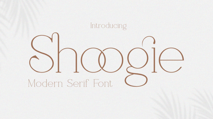 Shoogie Font