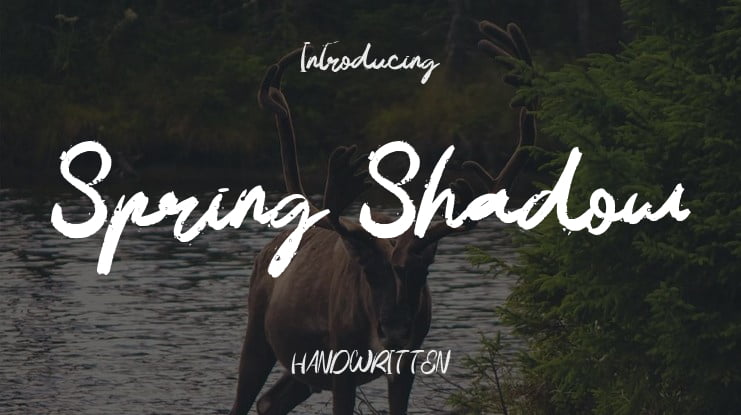 Spring Shadow Font
