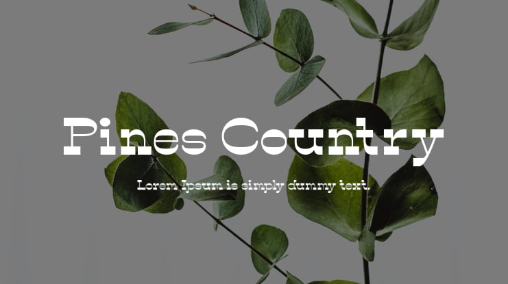 Pines Country Font